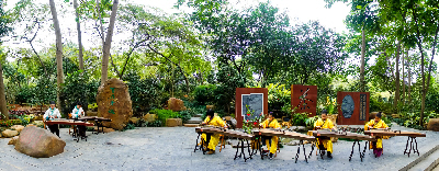 Scene in the Park Scene in the Park