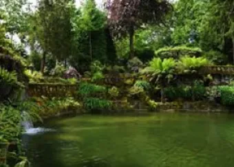 ics quinta de curvos fi