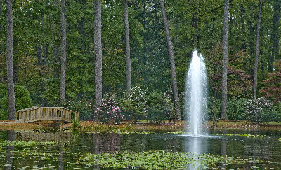 Norfolk Botanic Garden